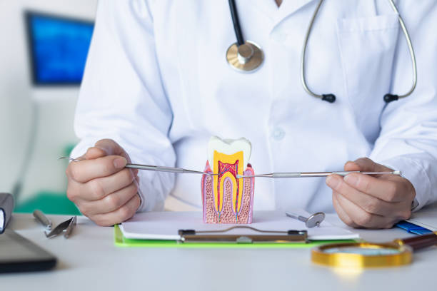 Best Urgent Care for Lost Fillings or Crowns in Warren, OH